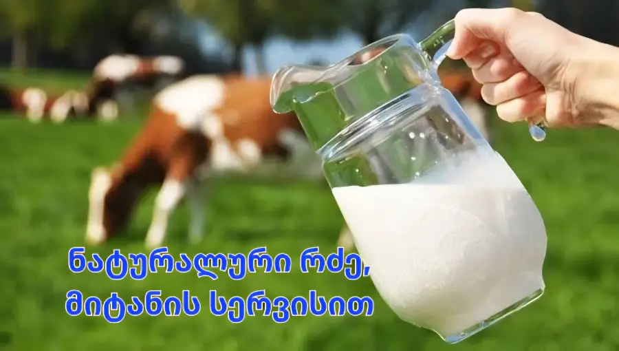 რძე