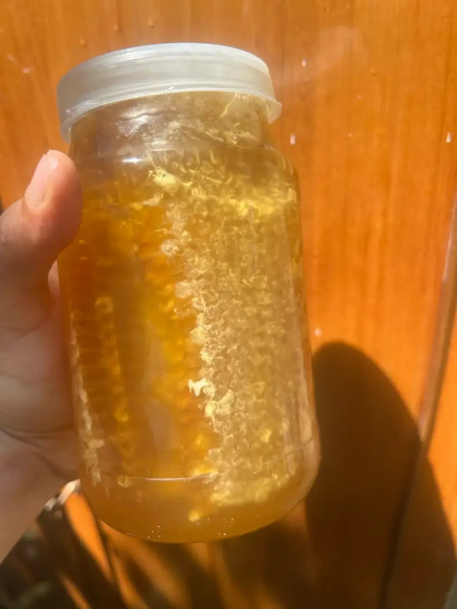 თაფლი