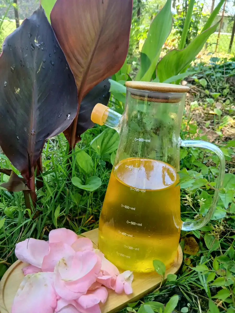 მზესუმზირის ზეთი🌻