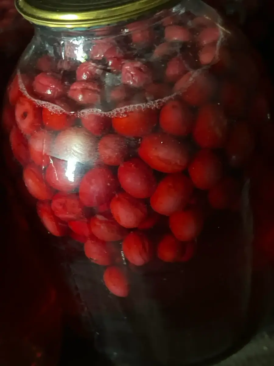 კომპოტი