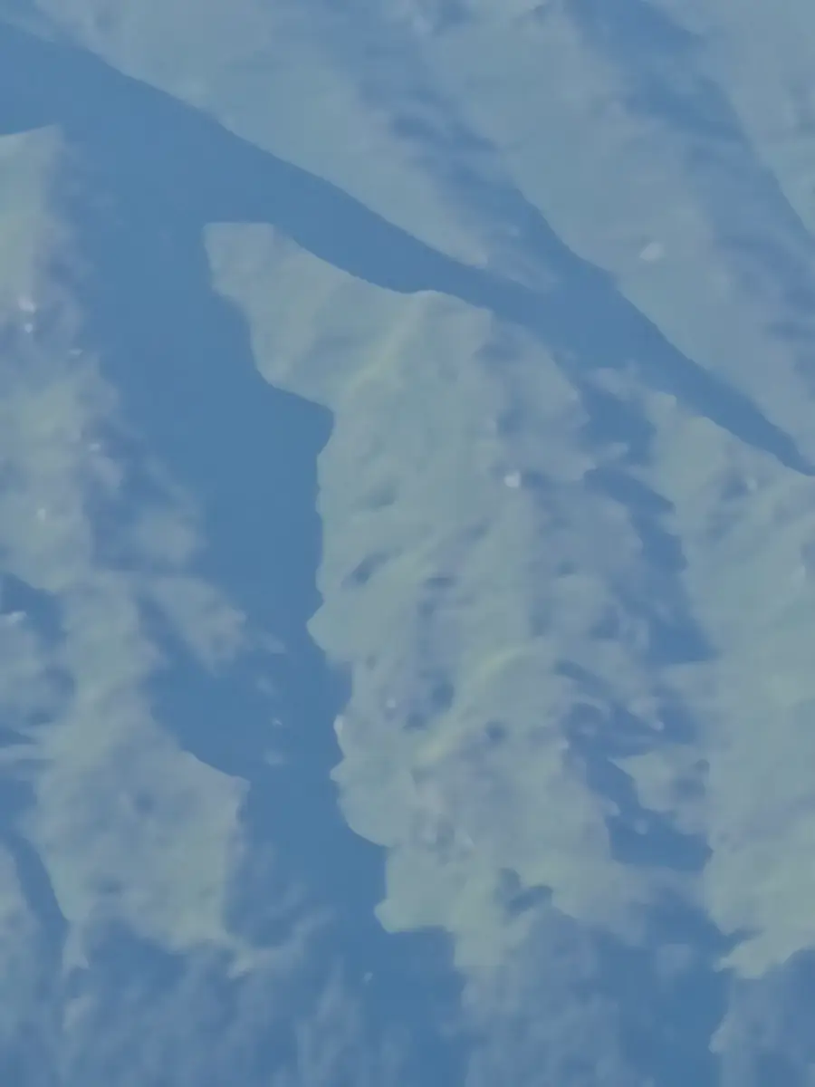 თაფლი