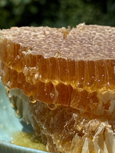 Honeycomb💛