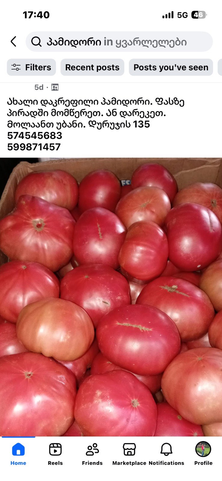 პომიდორი