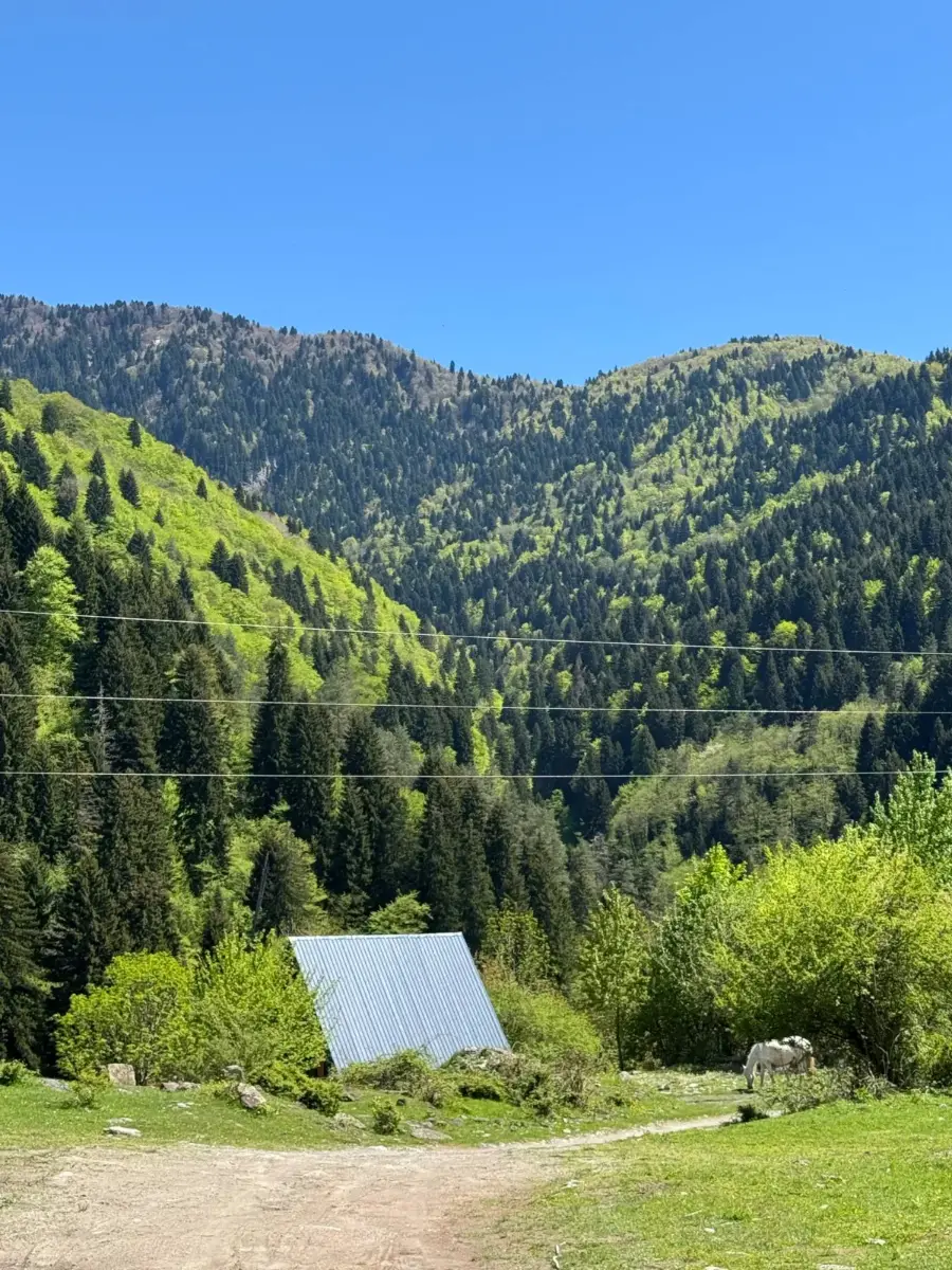 მთისკარი კოტეჯი უწერაში.Mtiskari cottage in Utsera