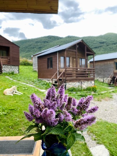 Коттеджи Ушгули • Ushguli Cabins