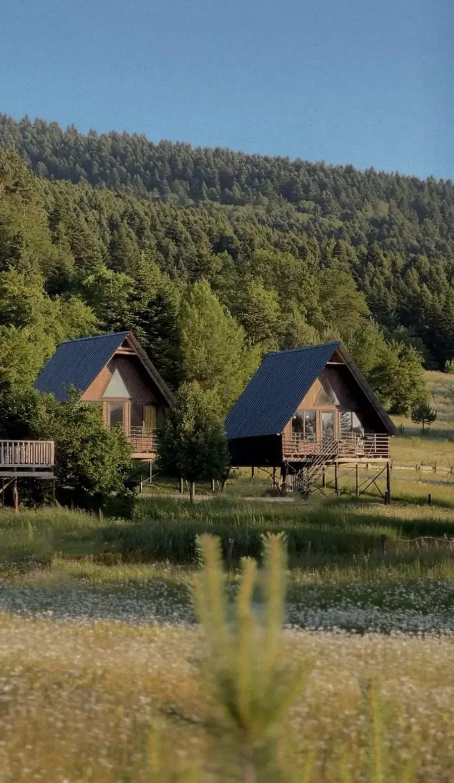 Pao’s cottages in racha•პაოს კოტეჯები რაჭაში