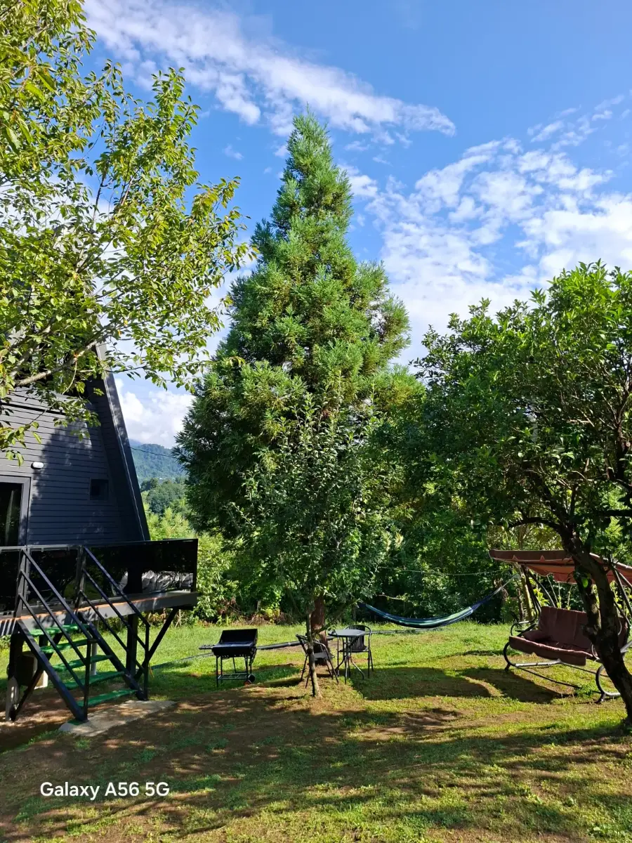 ალკი ჰაუსი•ALKI HOUSE
